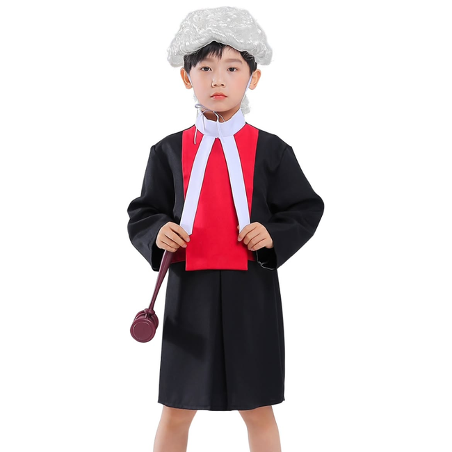 Professional Kids Judge Costume