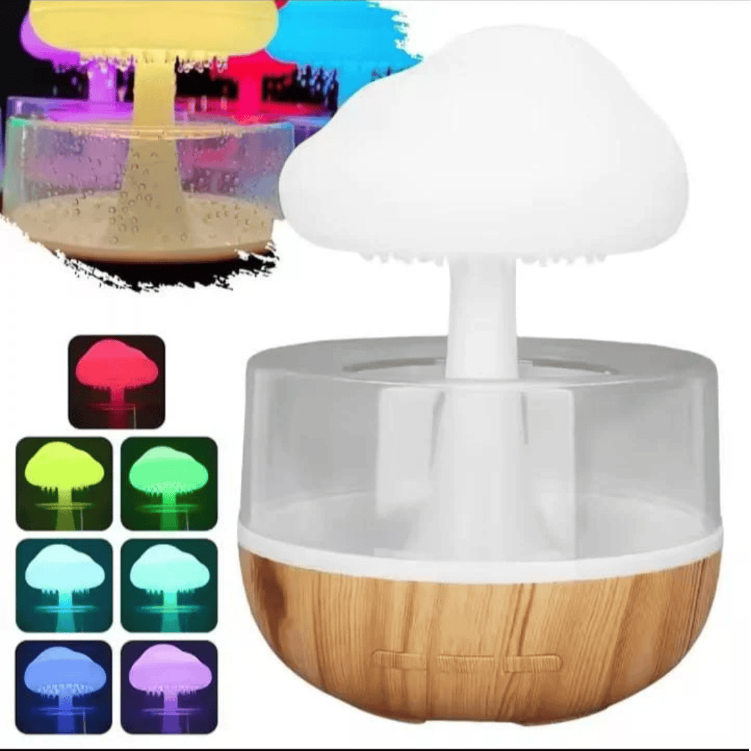 Rain Cloud Humidifier
