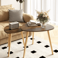 2Pcs Set Coffee Table