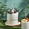 Scented Candles in Gift Boxes