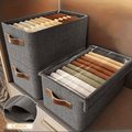Multipurpose Clothes Organizer with Cover