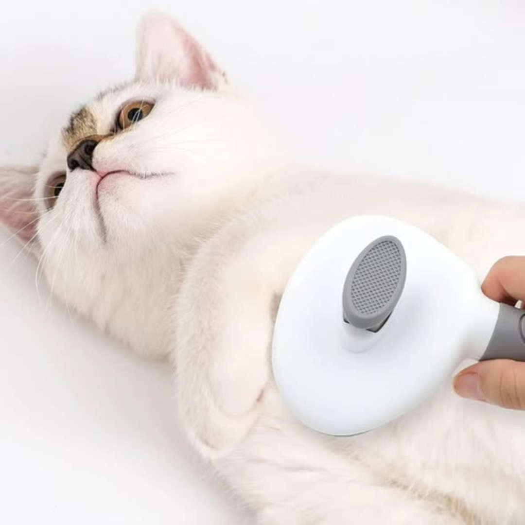 Cat and Dog Grooming Brush