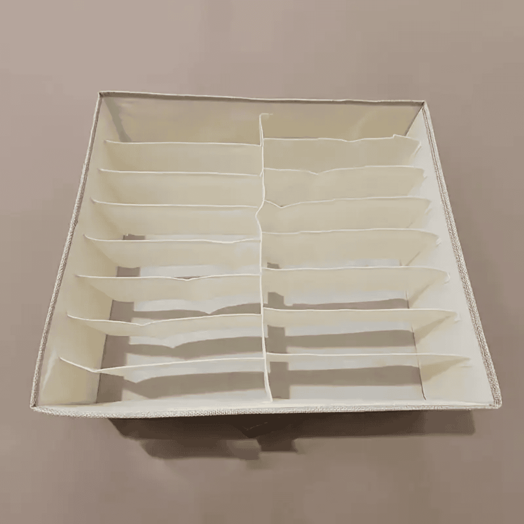Double Column Undergarments / Multipurpose Storage Organizer