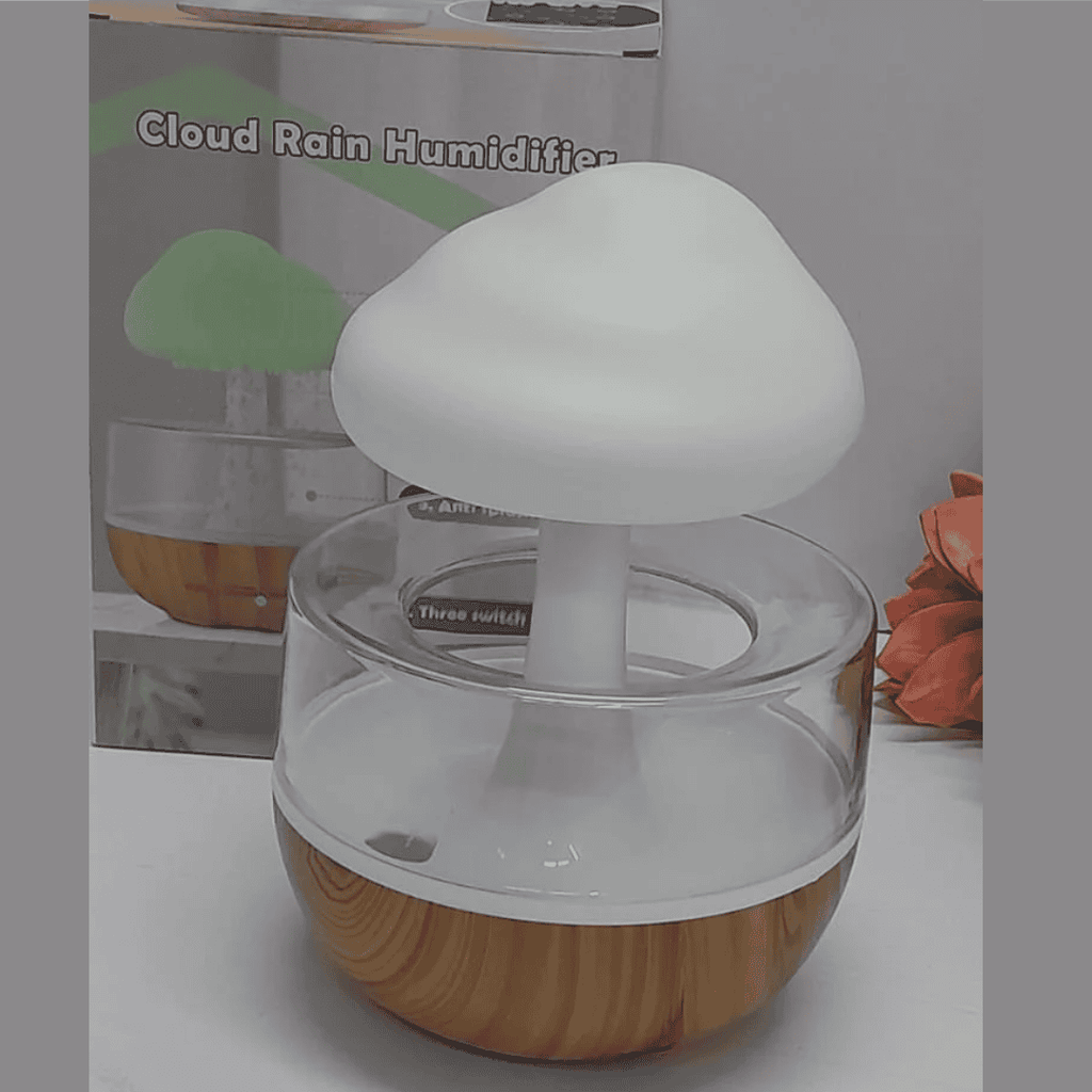 Rain Cloud Humidifier