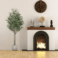 Real Touch Olive Plants with Fruits