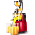 Slow Juicer SL-21030