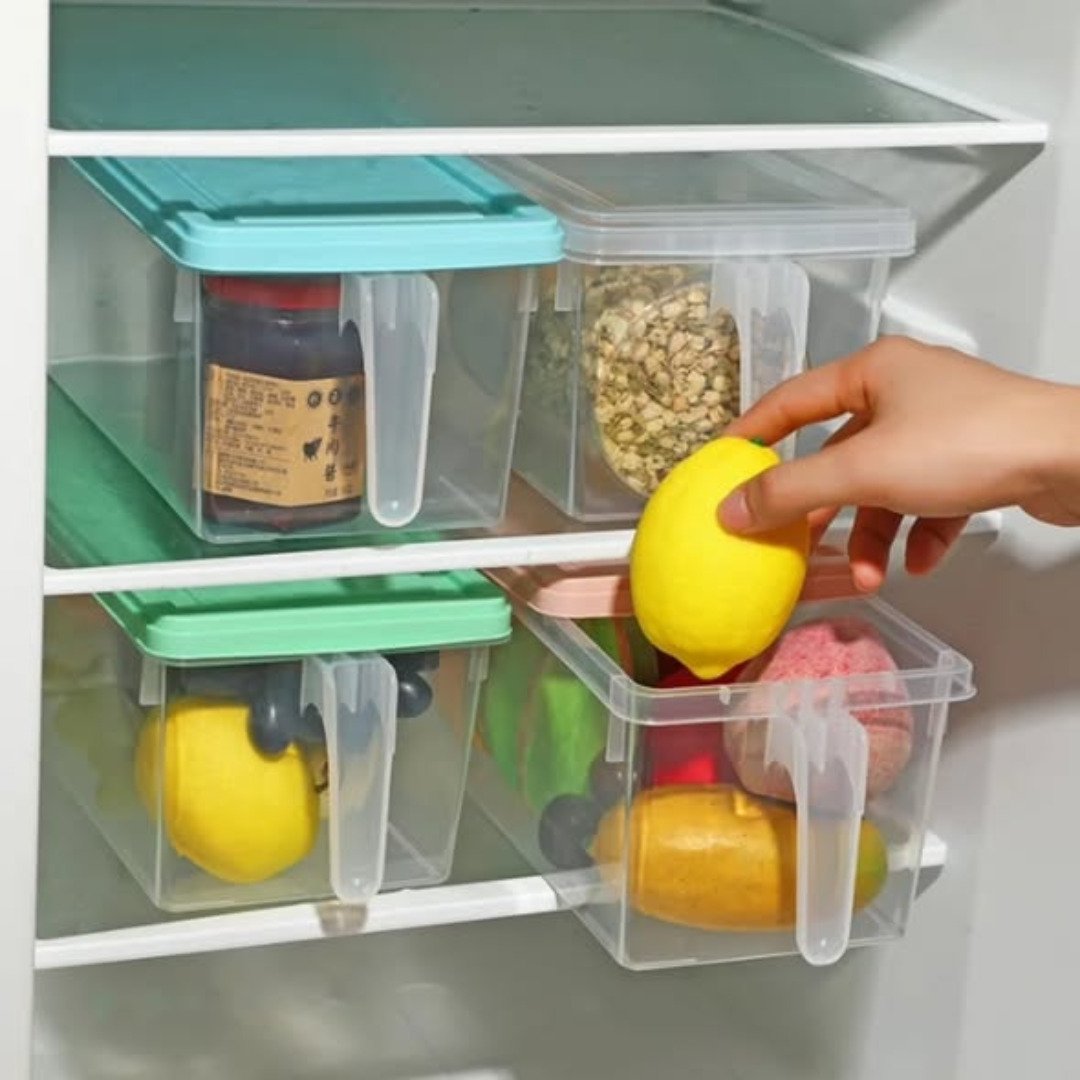 Food Storage Container with handle