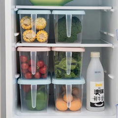 Food Storage Container with handle