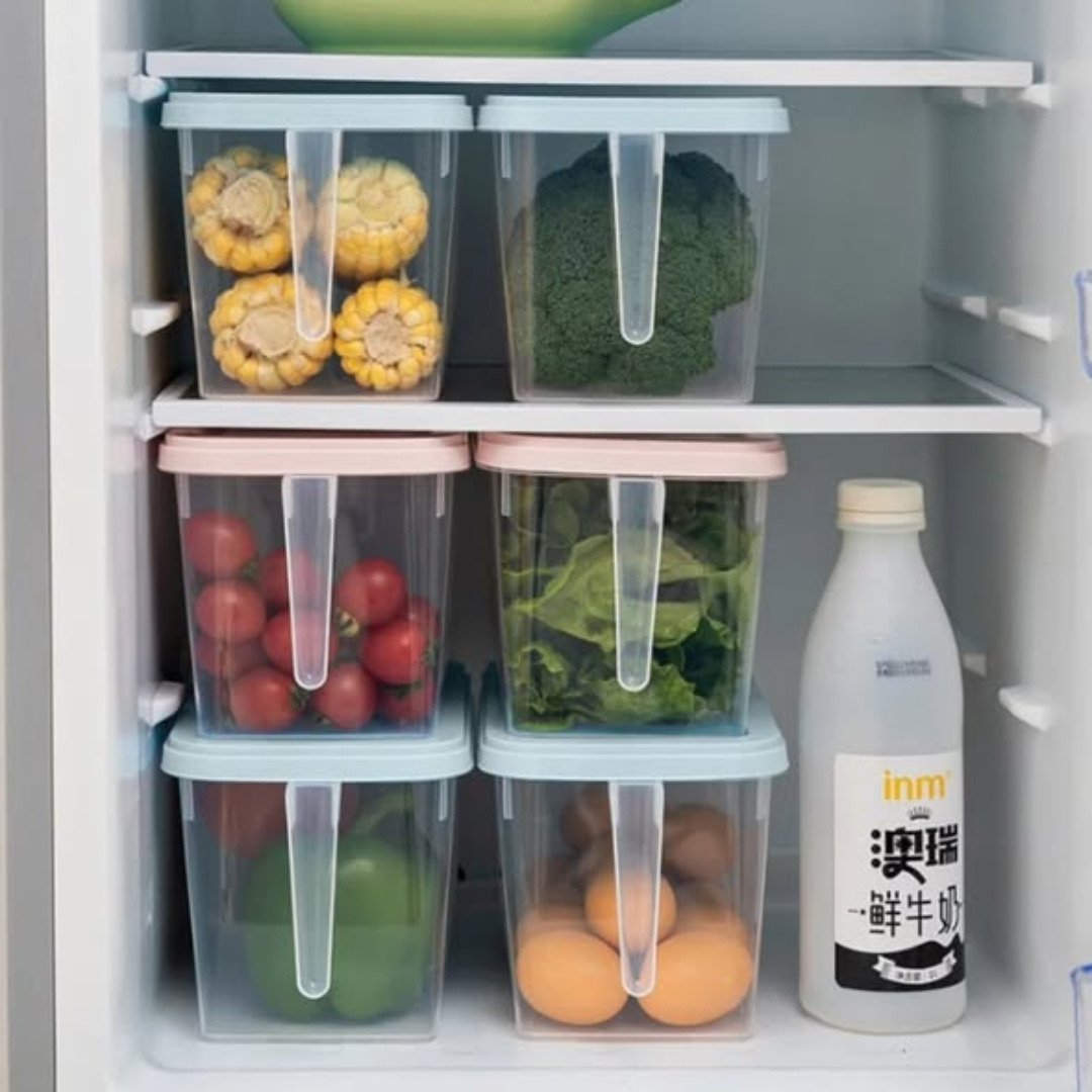 Food Storage Container with handle