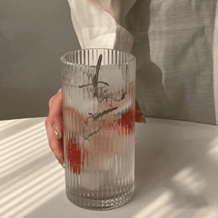6pcs Borosilicate Ribbed Water and Juice Glasses
