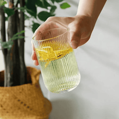 6pcs Water/Juice Glass Se