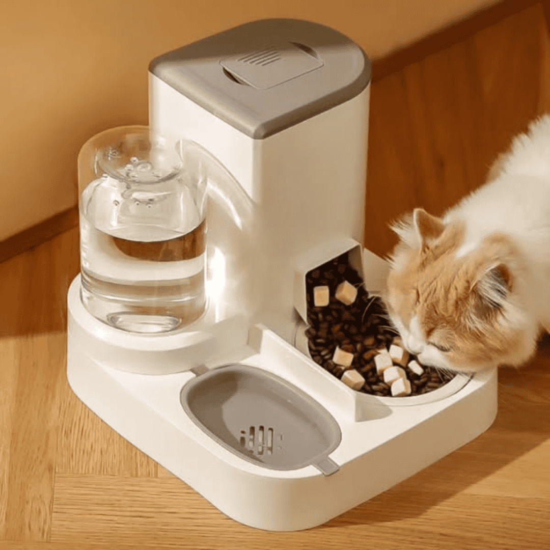 2 in 1 Automatic Pet Food Dispenser