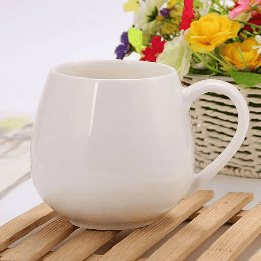 6Pcs Ceramic Mug Set