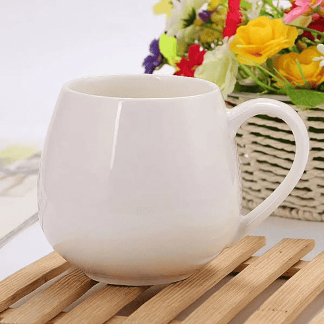 6Pcs Ceramic Mug Set