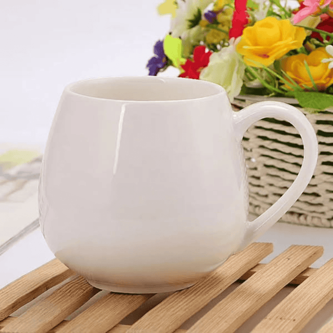6Pcs Ceramic Mug Set