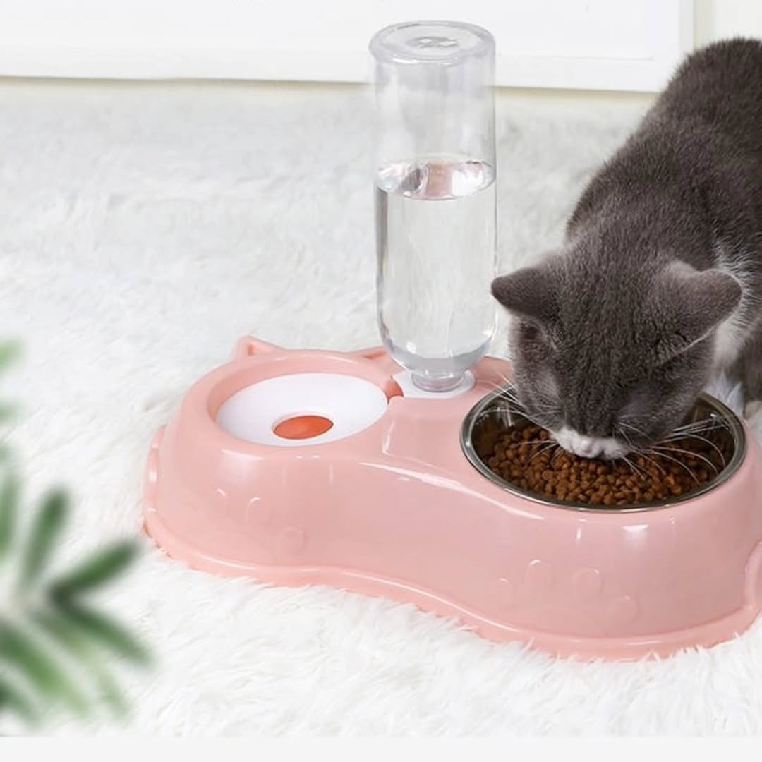 Automatic Pet Feeding Bowl with Water Dispenser