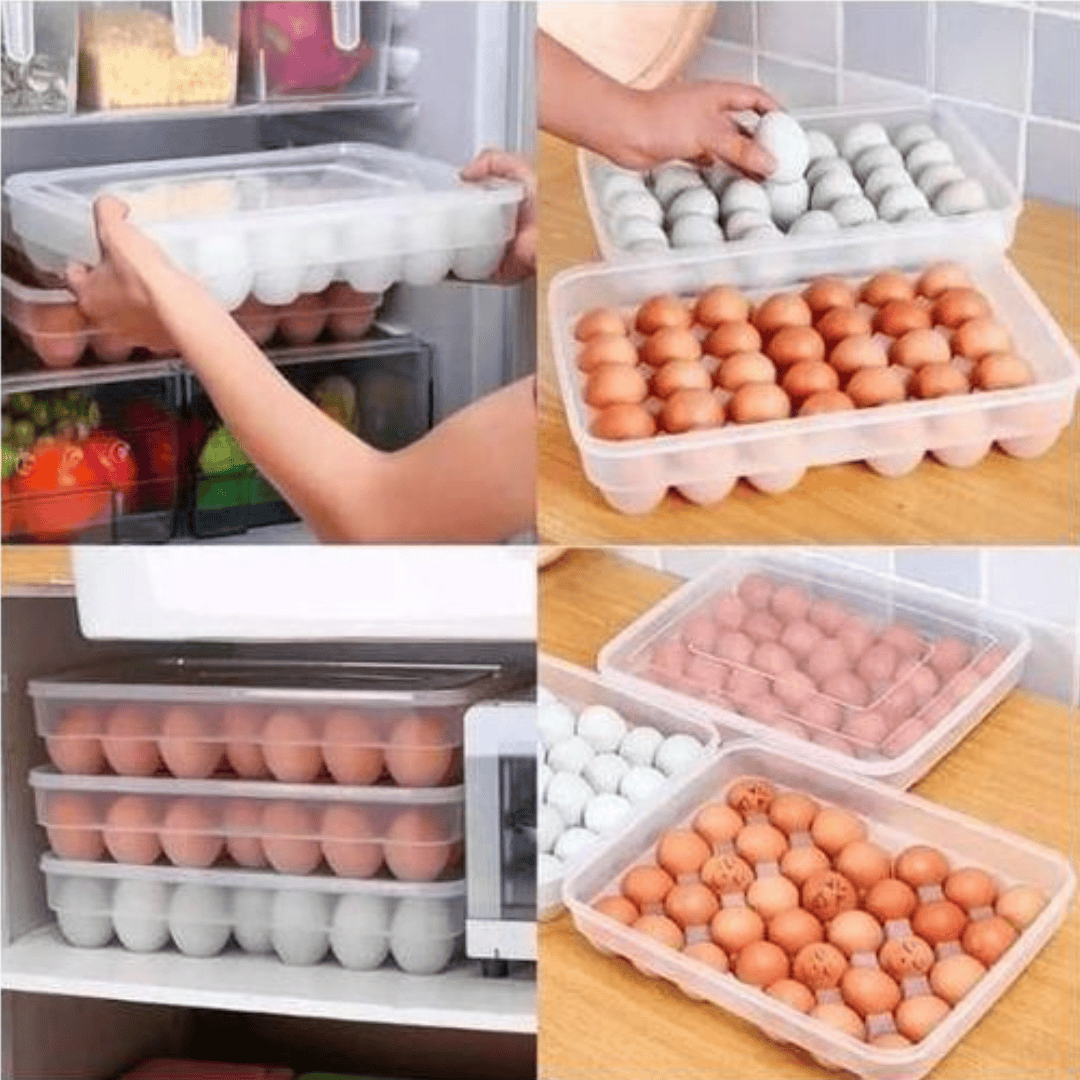 Clear Plastic Egg Tray