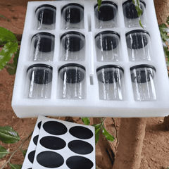 12pcs Glass Spice Jar Set with Black Bamboo Lids