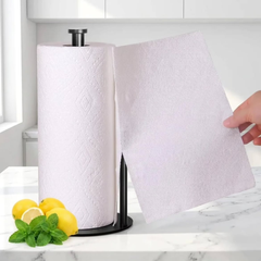 Stainless Steel Paper Towel Holder