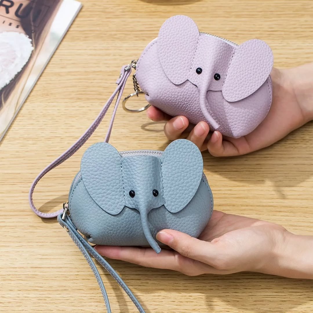 Multifunction Purse