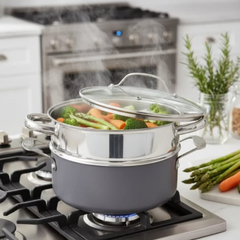 Steam Pot