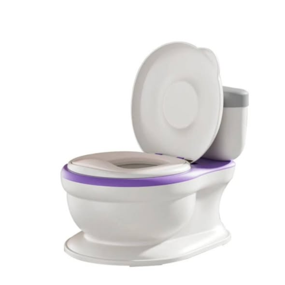Potty Training Toilet