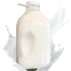 2L Multi-purpose Glass Bottle With Airtight lid
