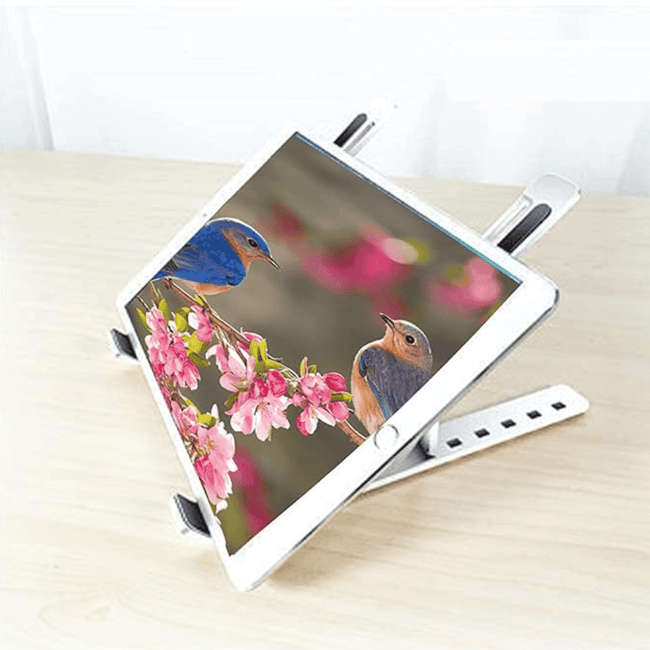 Metallic Adjustable Laptop Stand