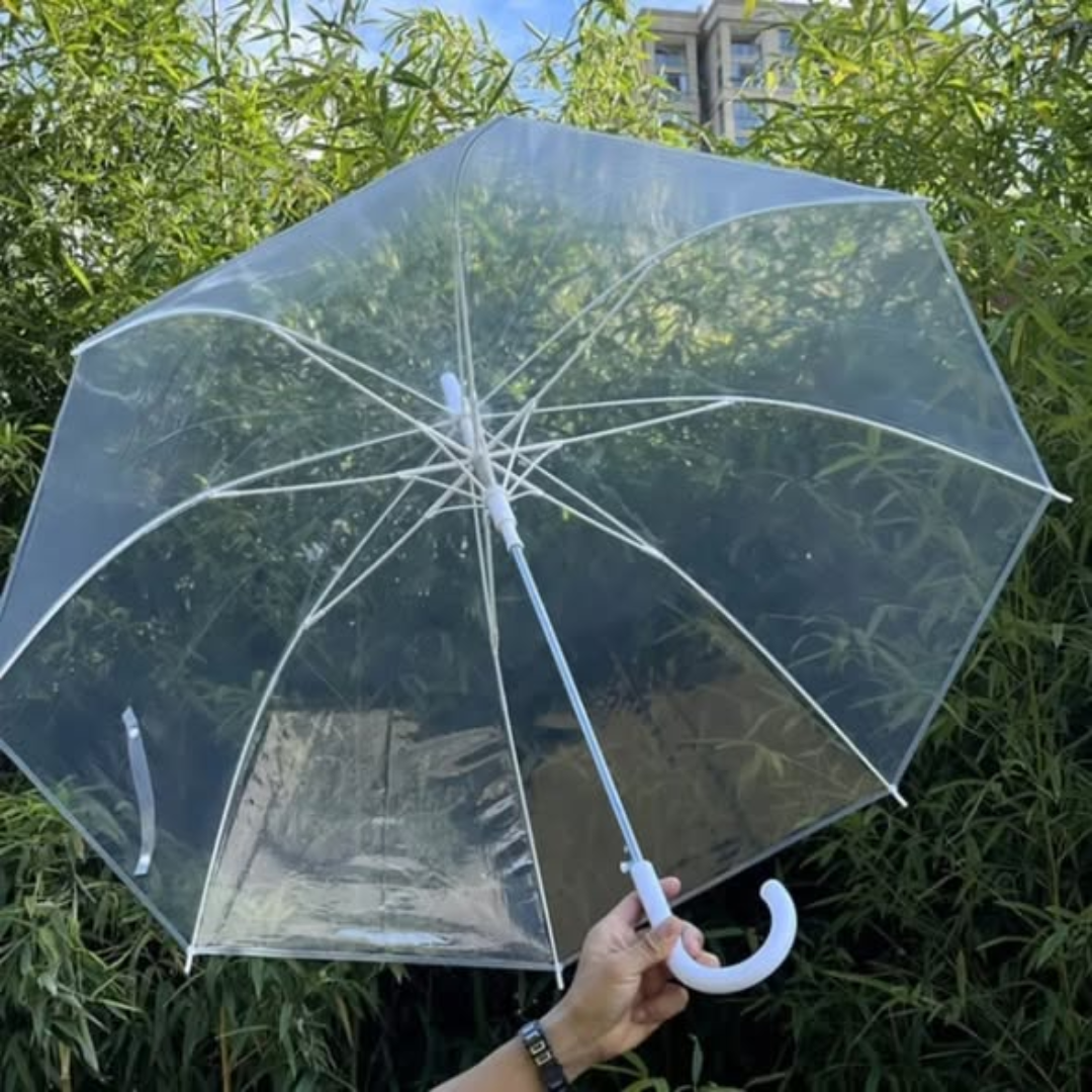 Transparent Umbrella