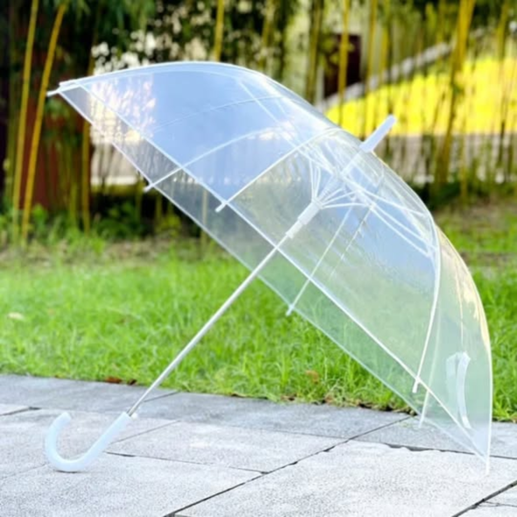 Transparent Umbrella