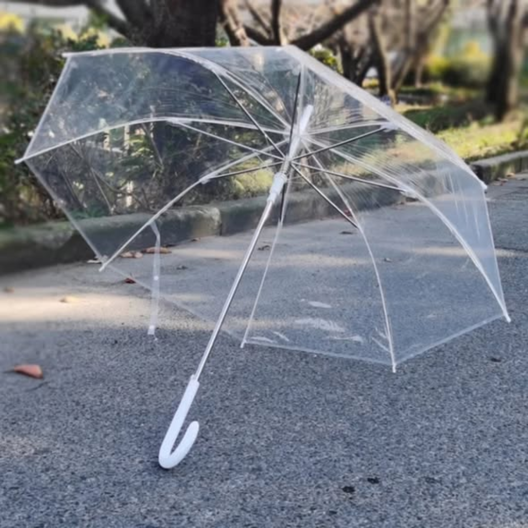 Transparent Umbrella