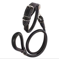 Easy grip rolled up leather dog collar and leash