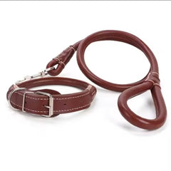 Easy grip rolled up leather dog collar and leash