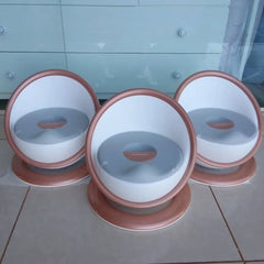 Potty Training Seat