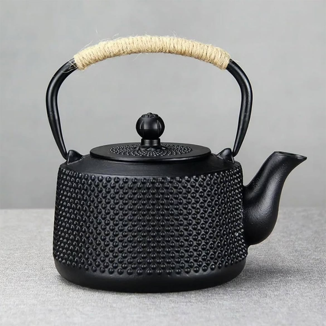 2.5L Cast Iron Teapot with Strainer Filter