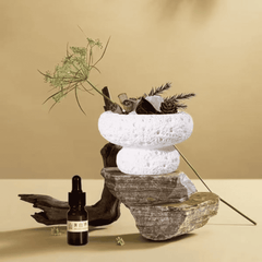 Mushroom Shaped Stone Essential Oil Diffusers Gift Pack