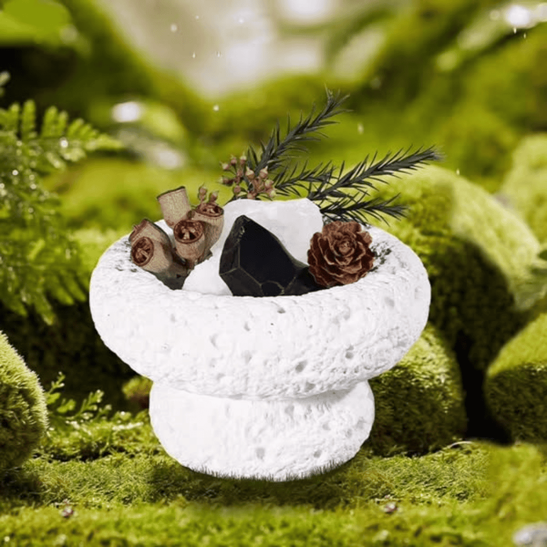 Mushroom Shaped Stone Essential Oil Diffusers Gift Pack