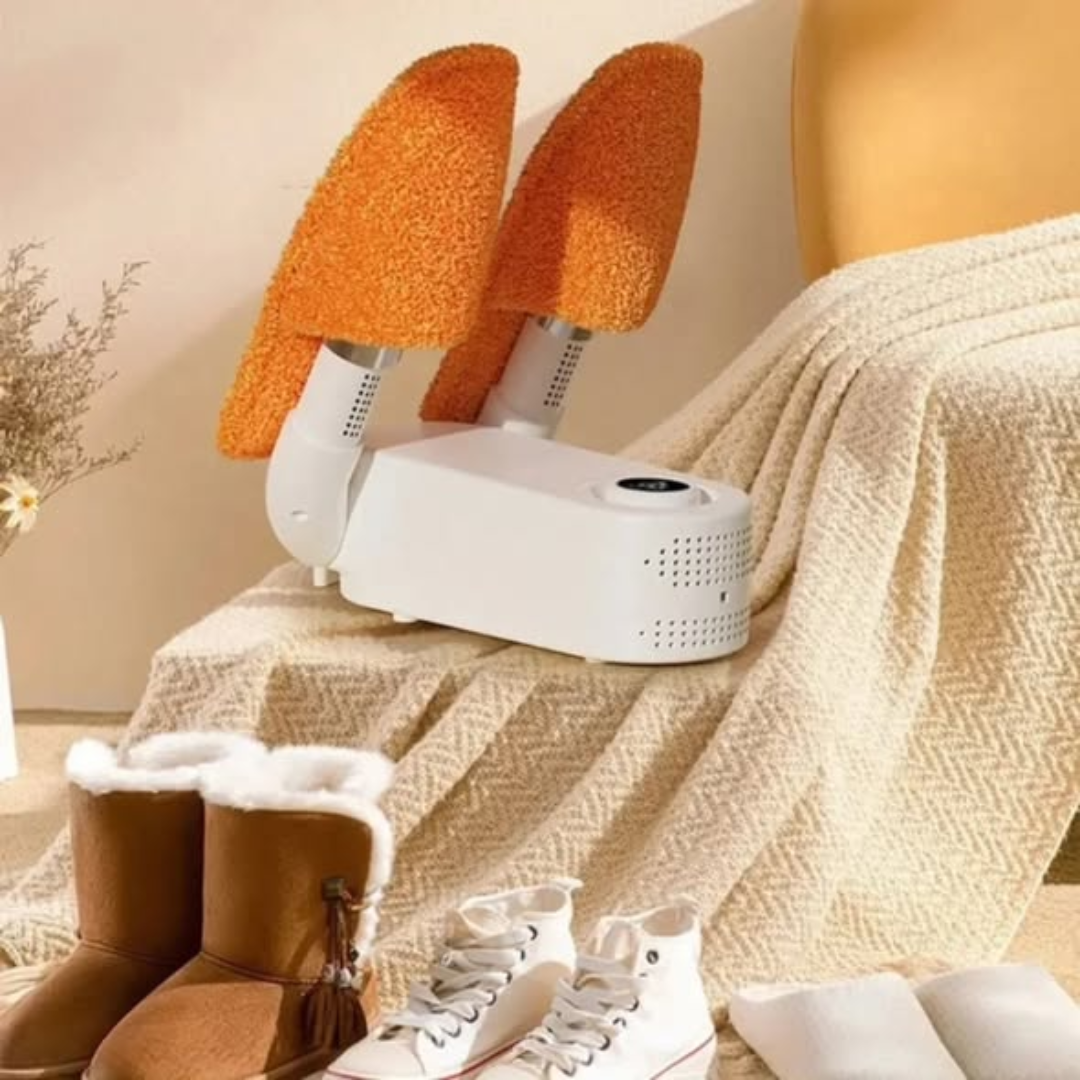 Modern electric shoe drier