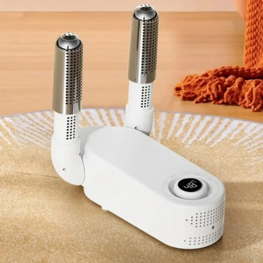 Modern electric shoe drier