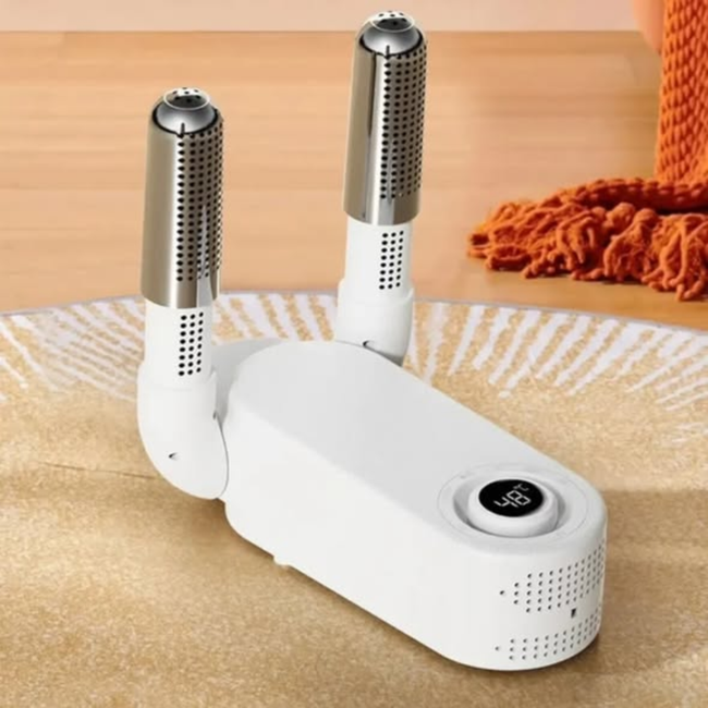 Modern electric shoe drier