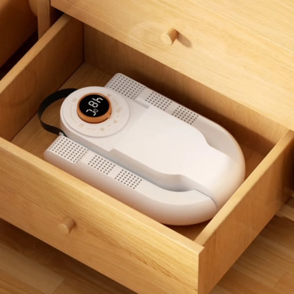Modern electric shoe drier