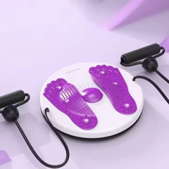 Waist Twisting Disc Plate