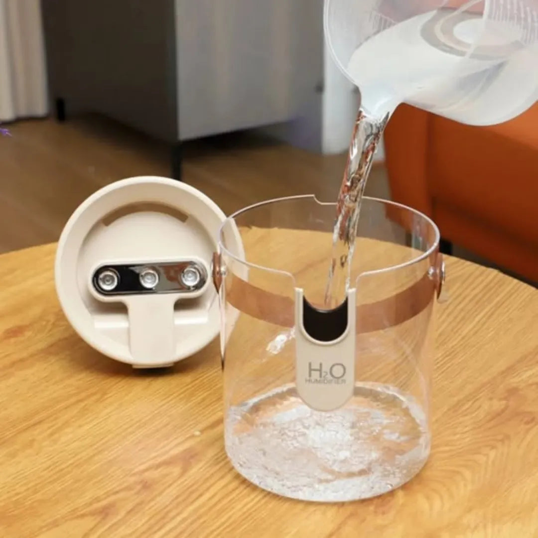 Portable Triple Misting Humidifier