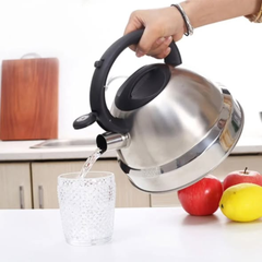 Stainless Steel Whistling Kettle