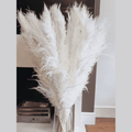 15pcs Dried Pampas Grass