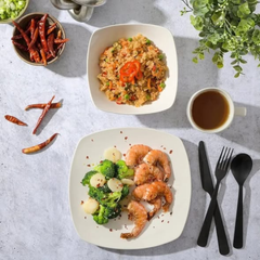 24pc square plain dinner plate