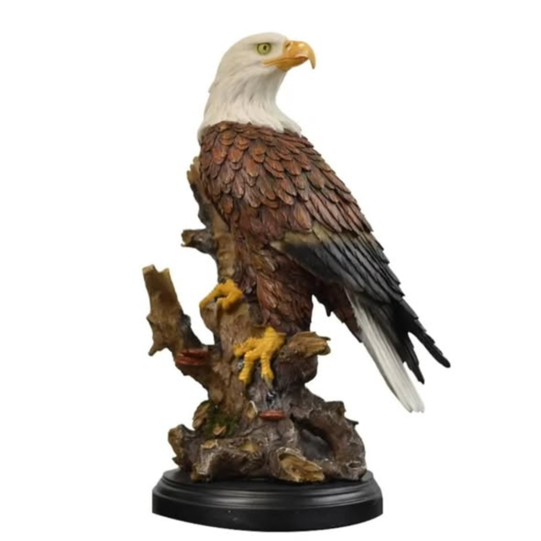 American Bald Eagle Resting