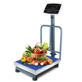 High-Precision Digital Platform Scale
