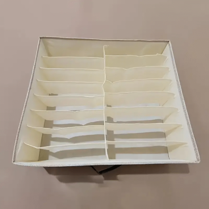 Double Column Undergarments / Multipurpose Storage Organizer