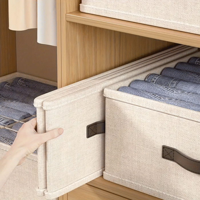 Double Column Undergarments / Multipurpose Storage Organizer